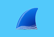 Wireshark中文版(网络抓包工具) v4.4.7 多语便携版-五九软件库