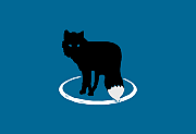 MetaFox(轻量级视频转换软件) v2.5.9 便携版-五九软件库