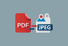 ASCOMP PDF Imager(PDF转图片工具) Pro v2.009 便携版-五九软件库