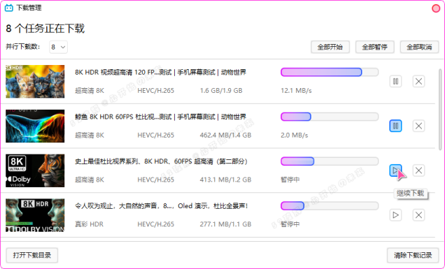 B站视频下载器Bili23-Downloader v1.55.0新春版-电脑软件论坛-资源区块-五九软件库