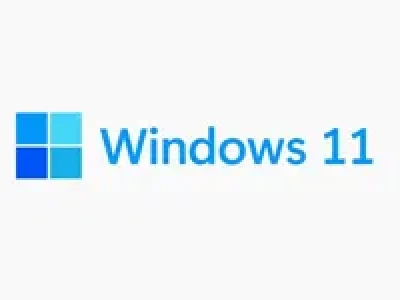 【不忘初心游戏版】Windows11 23H2（22631.4830）X64 无更新[精简版][3.01G](2025.2.1) 推荐适用于 游戏、直播、办公-五九软件库