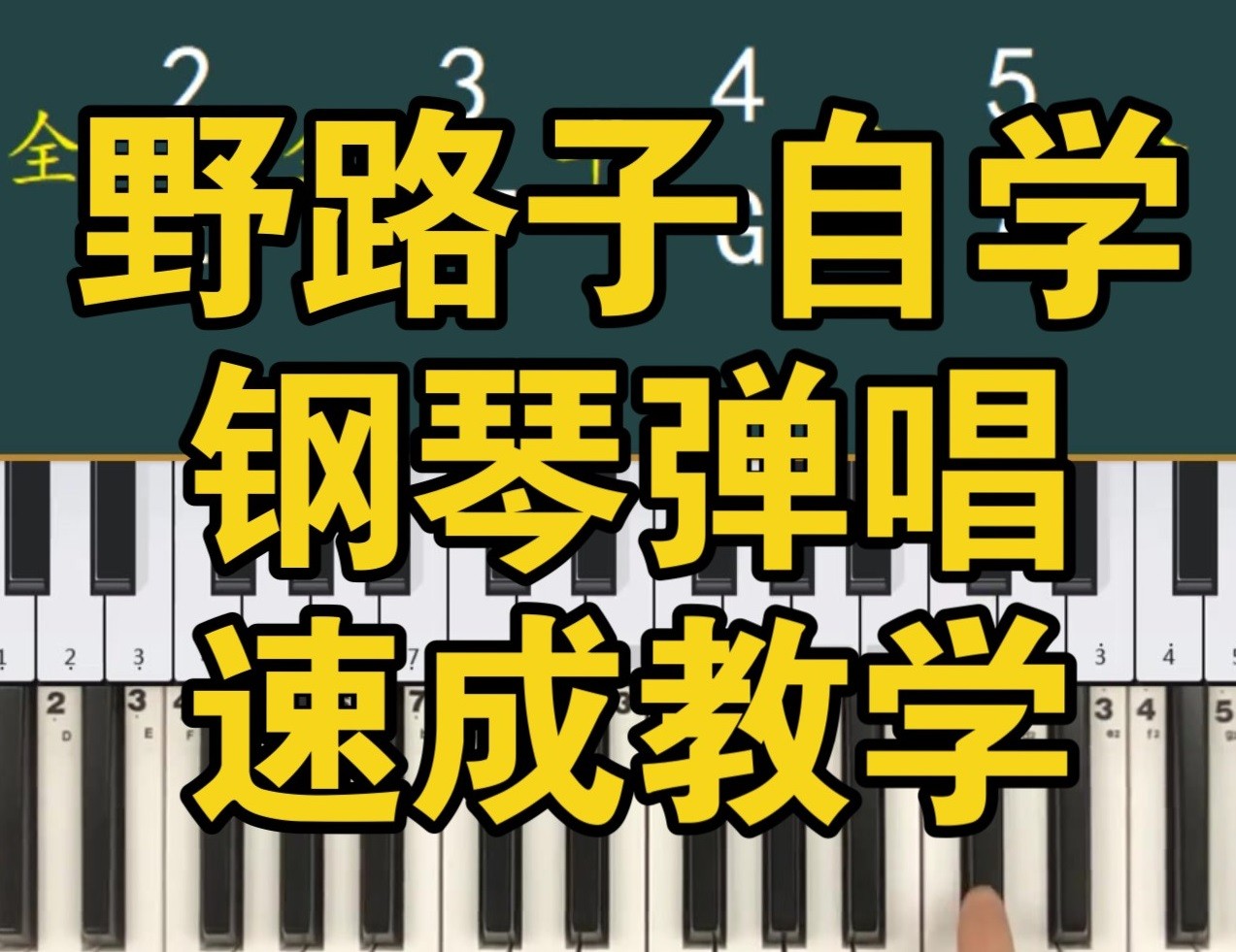 野路子《钢琴弹唱100天速成系统课》6GB-学习资源论坛-夸克资源区-五九软件库